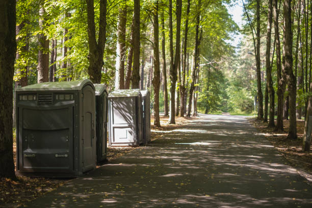 Best Affordable portable toilet rental  in Frewsburg, NY